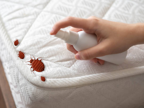 Best Pest Inspection Near Me  in Frankfort, KY