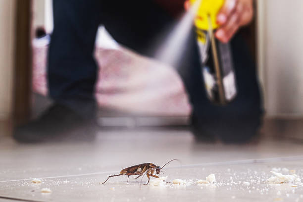 Best Bed Bug Extermination  in Frankfort, KY